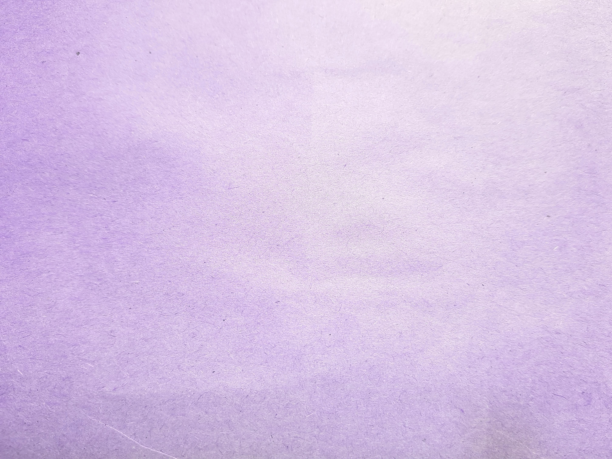 Lavender paper texture background. Blank designer.